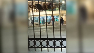 Полицейский вступил в борьбу со стаей агрессивных собак у воронежского вокзала
