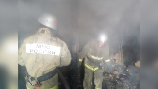 Труп женщины нашли после пожара в Новохопёрском районе