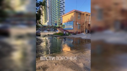 Жители воронежского микрорайона «Дубрава» пожаловались на жуткую вонь от фекальных рек