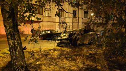 Смертельная ночная авария в Воронеже привела к уголовному делу