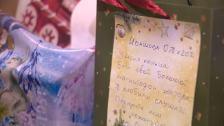 Воронежские депутаты приготовили новогодние подарки для стариков