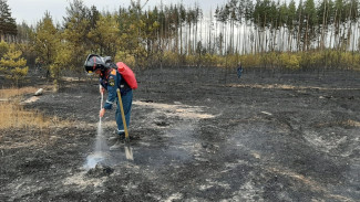 В Воронежской области локализовали один из трёх действующих природных пожаров