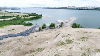 Окаменелые брёвна и наглые водители. Что мешает преобразить Воронежское водохранилище