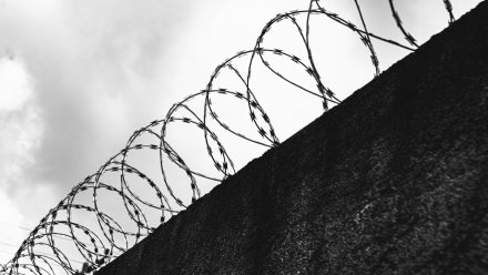 В Воронеже 14 членов банды отправили в колонию за попытку сбыта героина