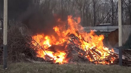 Первый класс пожарной опасности установился в Воронежской области