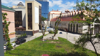 Найденный за Воронежским кукольным театром труп отправили на экспертизу