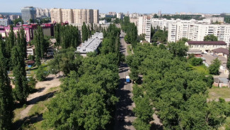 В Воронеже проигнорировали несогласие горожан с застройкой квартала на Ленинградской