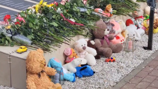 Московские власти ответили воронежцу на просьбу не восстанавливать «Крокус» после теракта