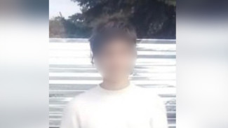 Пропавшую в Воронеже 14-летнюю девочку нашли живой