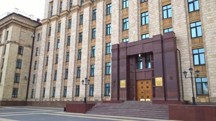 Охрану объектов культурного наследия Воронежской области доверили Владимиру Перцеву