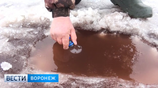 Жители воронежского села бьют тревогу из-за красной воды в пруду