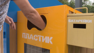 В Воронежской области установили 11 тыс. контейнеров для раздельного сбора мусора