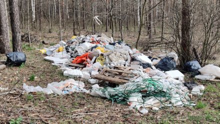 Лес под Воронежем завалили строительным мусором