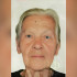 В Воронеже объявили поиски пропавшей 92-летней женщины с плохой памятью 