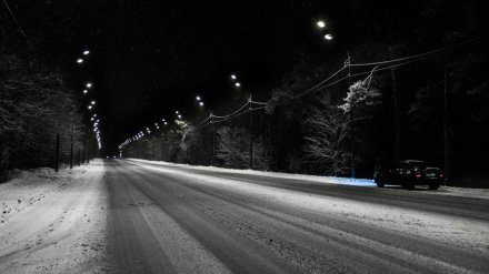 Сутки на трассе и ночь в заброшенном доме. Пропавшую воронежскую школьницу нашли живой