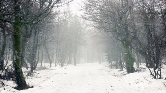 Штормовое предупреждение из-за 15-градусных морозов объявили в Воронеже