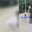 Воронежцы возмутились бездействием МВД после нападения курцхаара в Центральном парке
