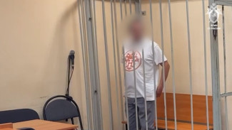 Водителя катера-убийцы отправили в СИЗО после гибели мальчика на Воронежском водохранилище