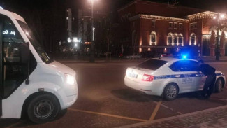 Полиция назвала причину внезапной остановки маршрутки с пассажирами в Воронеже