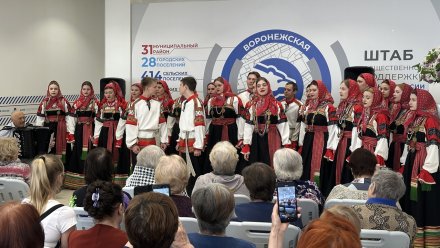 «Единая Россия» организовала для воронежцев акцию «Встречаем День Победы вместе»