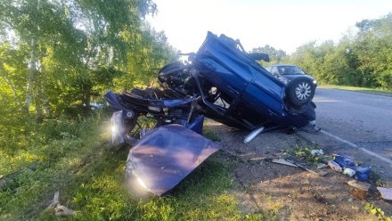 22-летний водитель погиб в аварии в Каменском районе