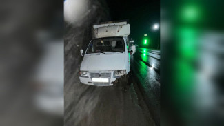 Тамбовчанин погиб под колёсами «Газели» на воронежской трассе