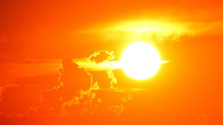 Синоптики предупредили об опасном солнце в Воронежской области