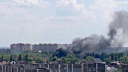 Два пожара вспыхнули возле военно-воздушной академии в Воронеже
