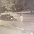 Пьяный иностранец угнал машину в Воронеже и врезался в мусорку