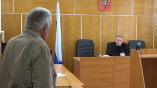 Воронежский ветеринар попал под суд за выданные без осмотра животных справки