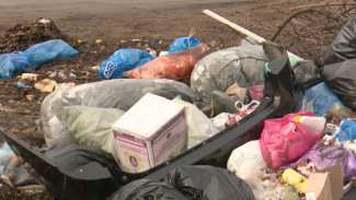 Три вида контейнеров. В Воронежской области продолжат обустраивать мусорки нового формата