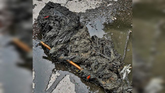 Воронежцы устроили засор, смыв в туалет удочку и рыболовную сеть