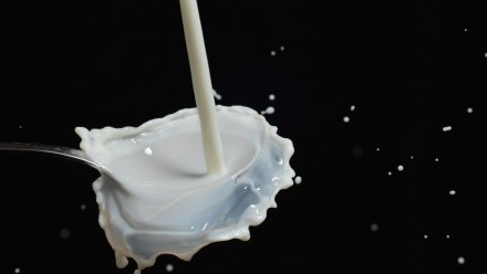 Воронежцев предупредили о молочных предприятиях-призраках