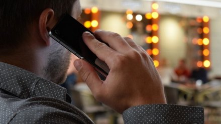 В Воронежской области мошенники за сутки обобрали пятерых жителей региона