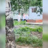 Полиция прокомментировала сообщения о массовой драке с участием выпускников в Воронеже