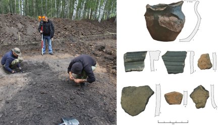 Под Воронежем во время раскопок нашли древние обломки лепной посуды