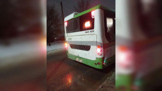 Чиновники прокомментировали отказ водителя выпускать из автобуса воронежца с 2 детьми