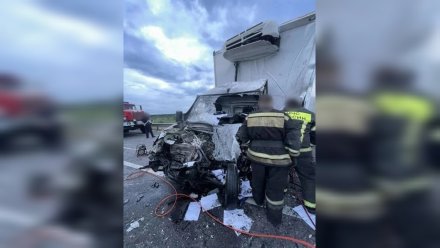 «Газель» протаранила  фуру на воронежской трассе: 1 человек погиб, 2 пострадали