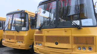 В Воронежскую область приехали 49 новых школьных автобусов