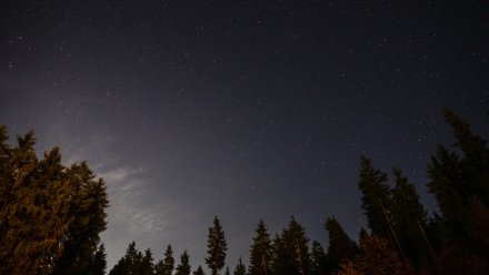 Беспилотник сбили в Воронежской области в ночь на 22 сентября