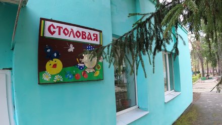 В Воронежской области ковид нашли у 29 педагогов, планировавших работать в лагерях 