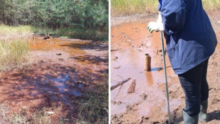 Экологи проверят бурое болото на месте никелевого месторождения в Воронежской области