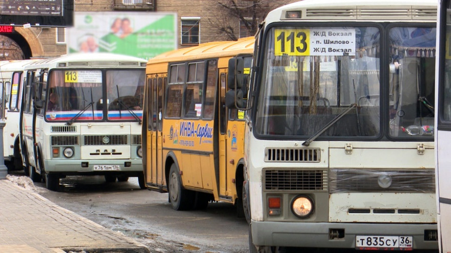 «Придумал, пока мёрз на остановке». Воронежский студент высмеял в частушках подсчёт автобусов