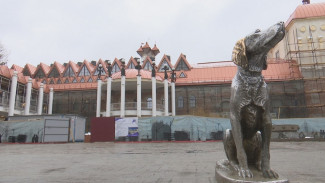 В Воронеже модернизируют зрительный зал кукольного театра