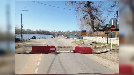 В Воронежской области закрыли движение по наплавному мосту из-за паводка