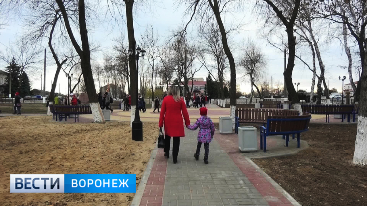 Воронежская область петропавловка сегодня. Парк Петропавловка Воронежская. Парк Северцова Воронеж. Благоустройство сквера Петропавловка Воронежская. Петропавловка Воронежская достопримечательности.