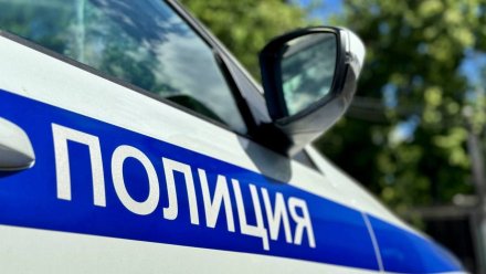 Воронежских автомобилистов предупредили о профилактическом мероприятии «Безопасная дорога»