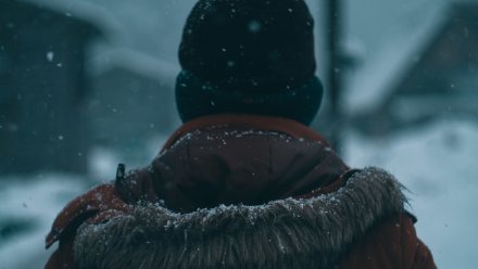 Пятеро мужчин похитили двух детей у воронежского ТЦ