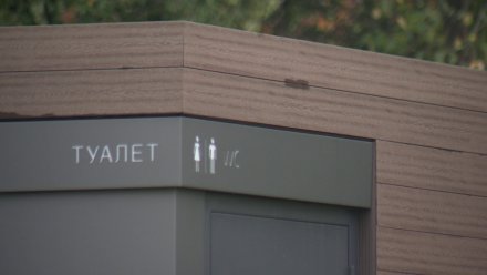Жители Новой Усмани пожаловались на отсутствие общественных туалетов в центре села