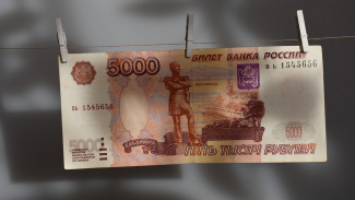 Притворившийся безработным нововоронежец попал под дело за получение 90 тыс. рублей